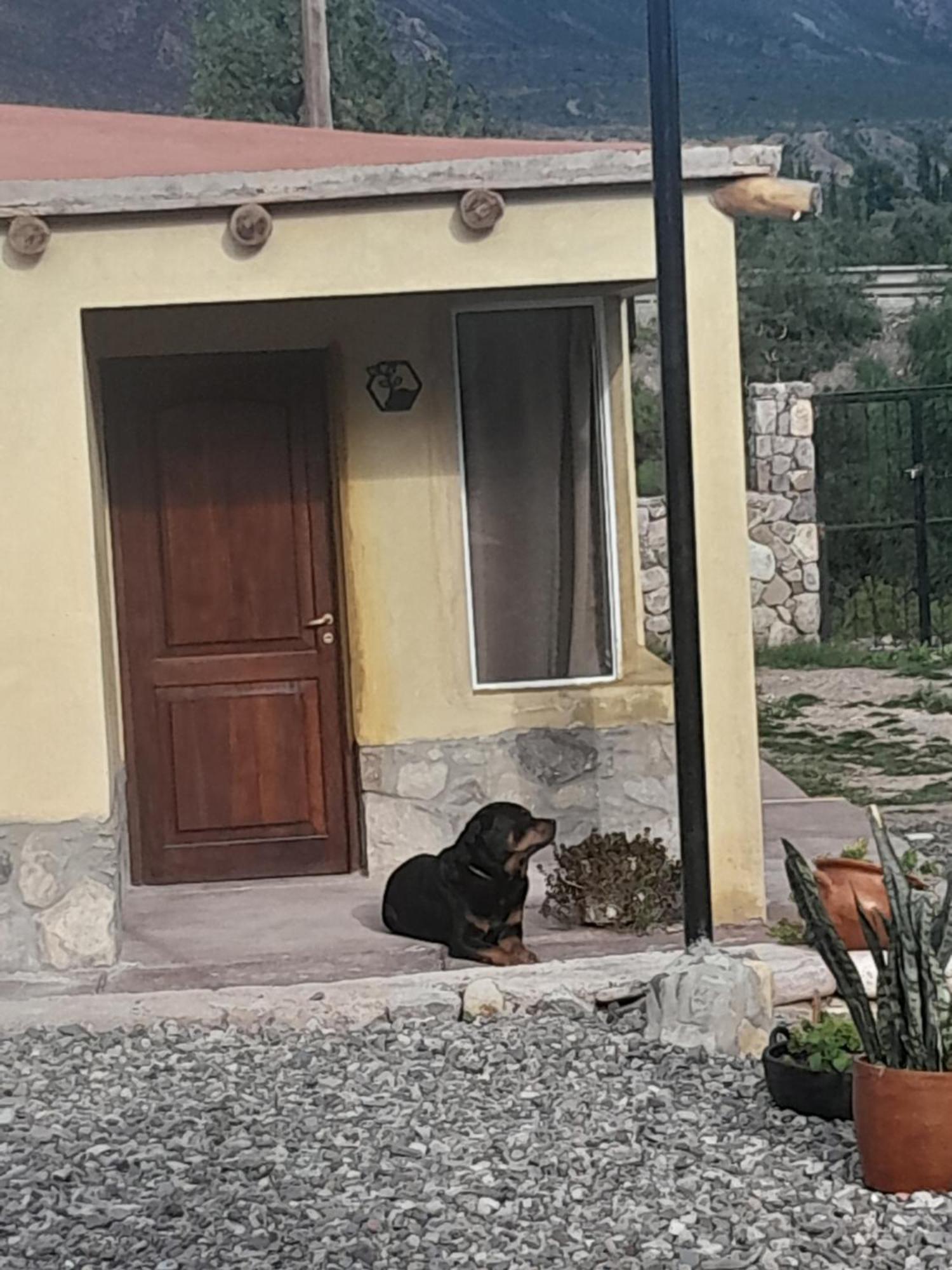 4 Elementos Villa Уакалера Екстериор снимка